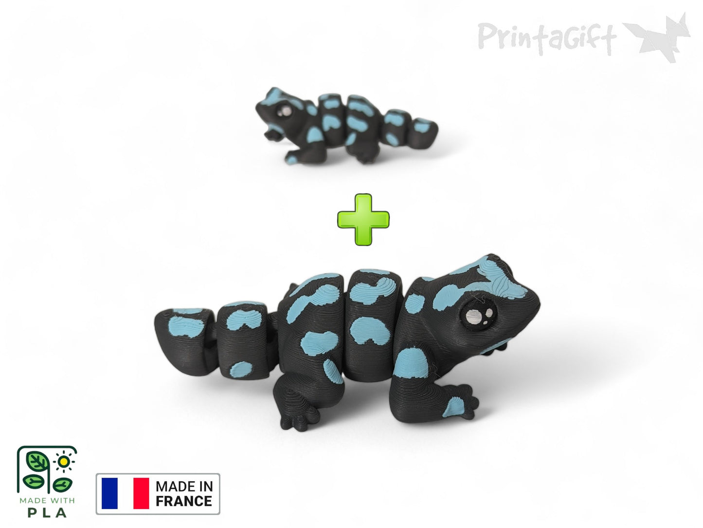 Salamandre bleu