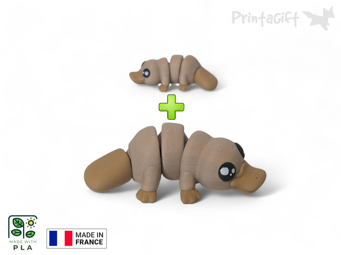 Ornithorynque