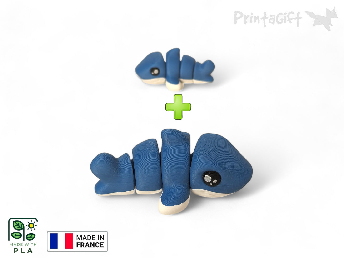 Requin