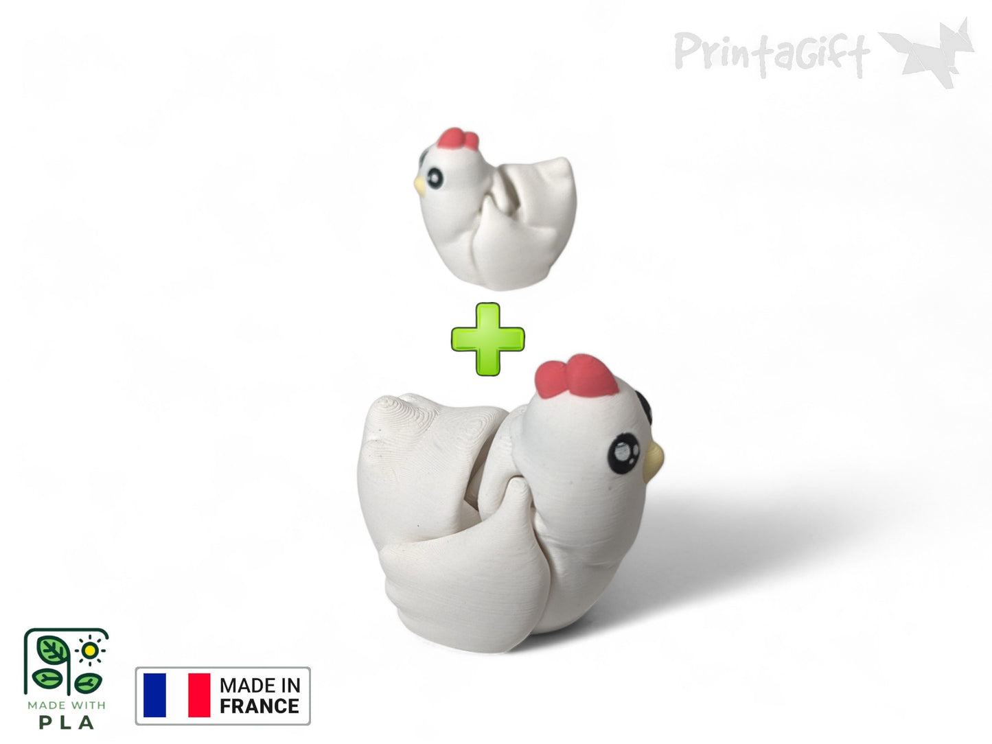 Poule