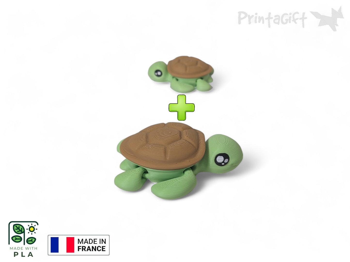 Tortue