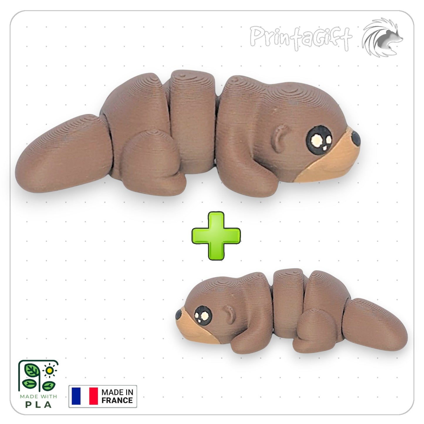 Loutre