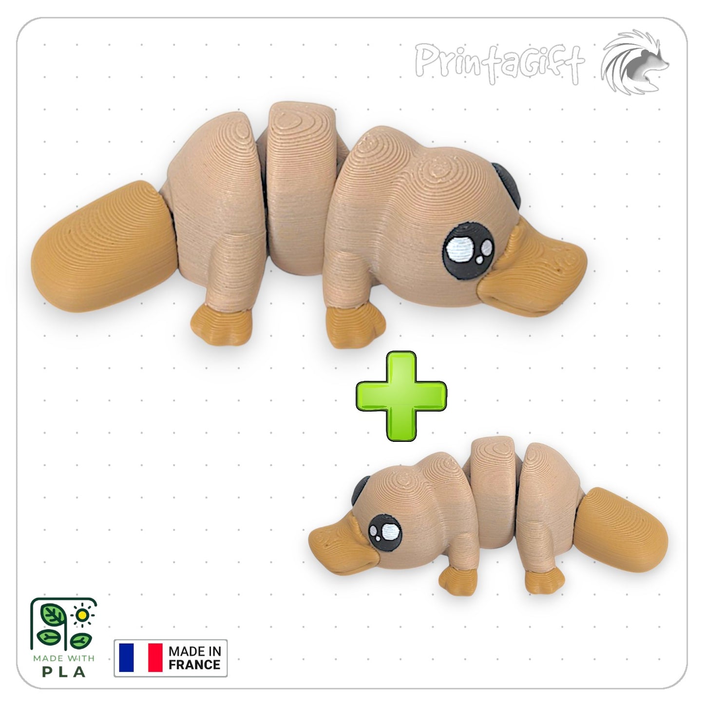 Ornithorynque