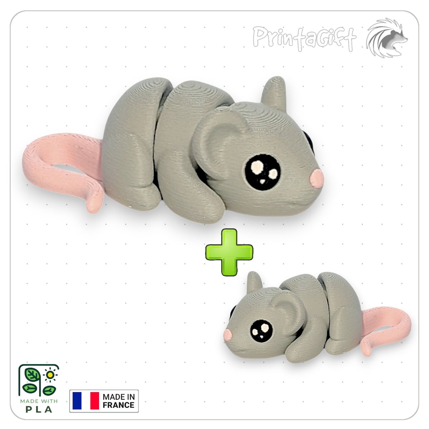 Souris