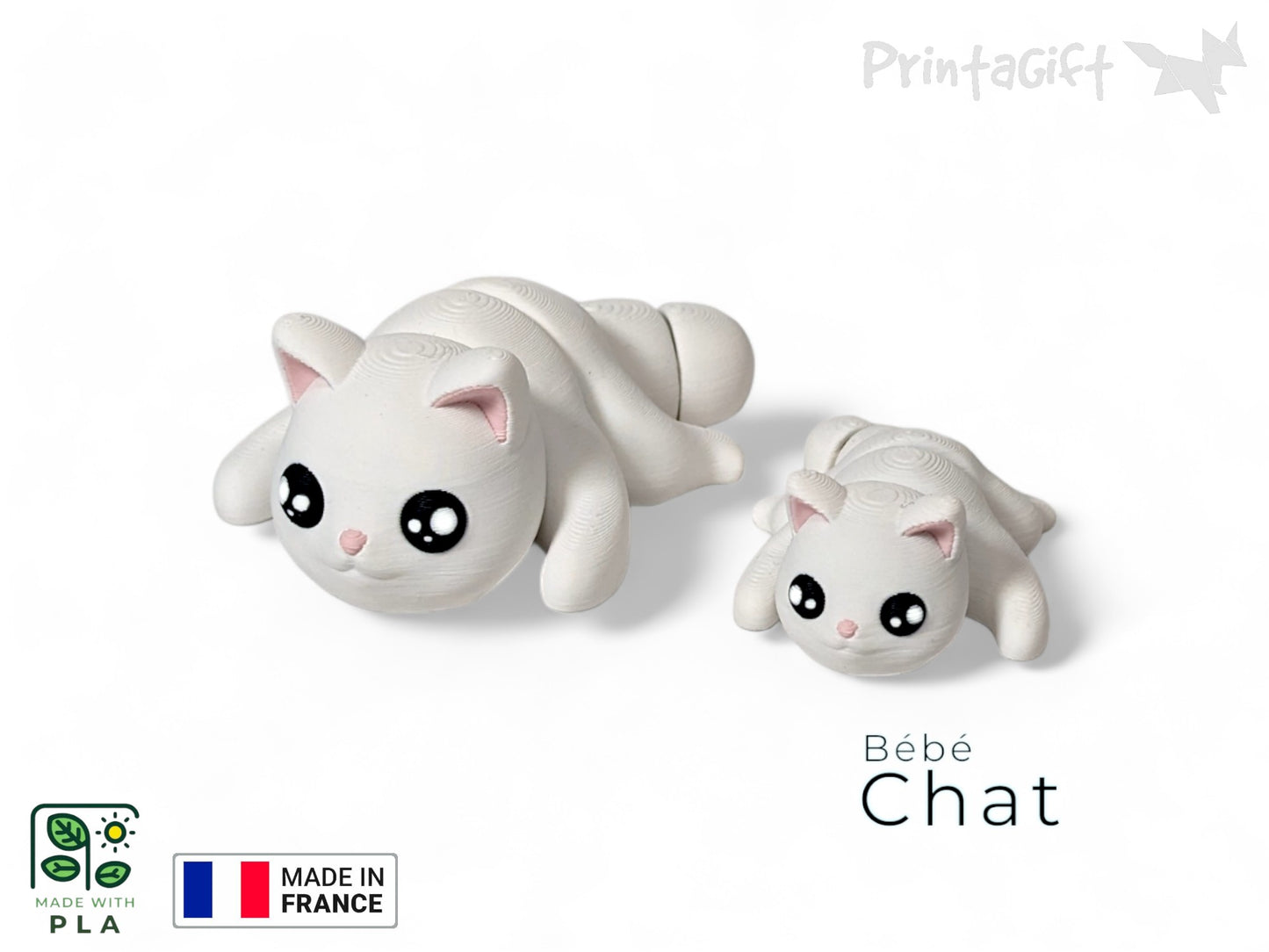 Chat blanc