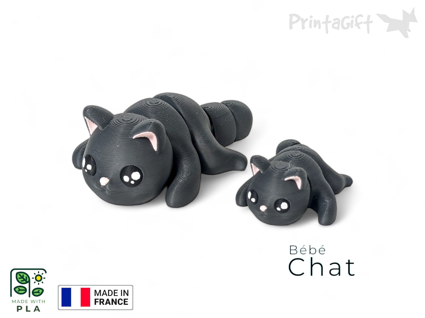 Chat noir