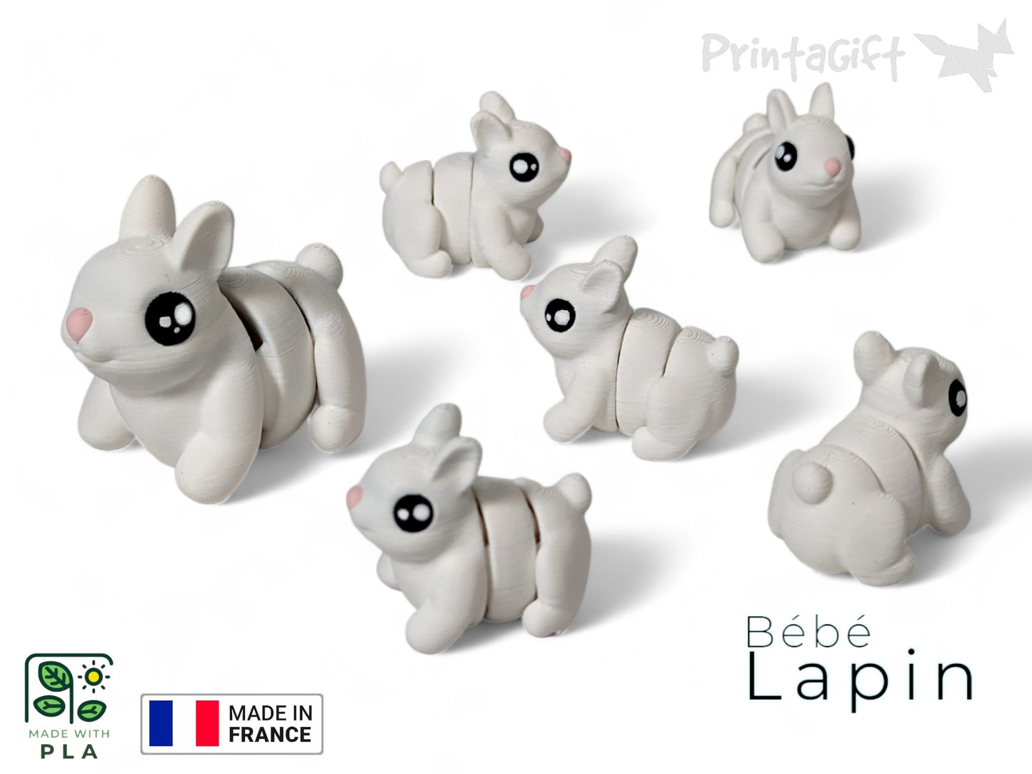 Lapin