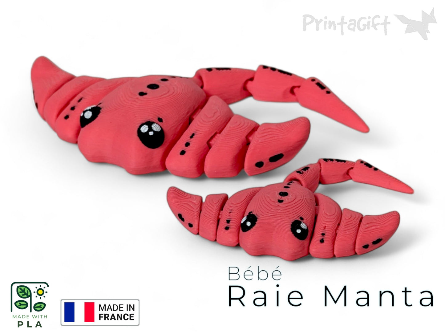 Raie manta
