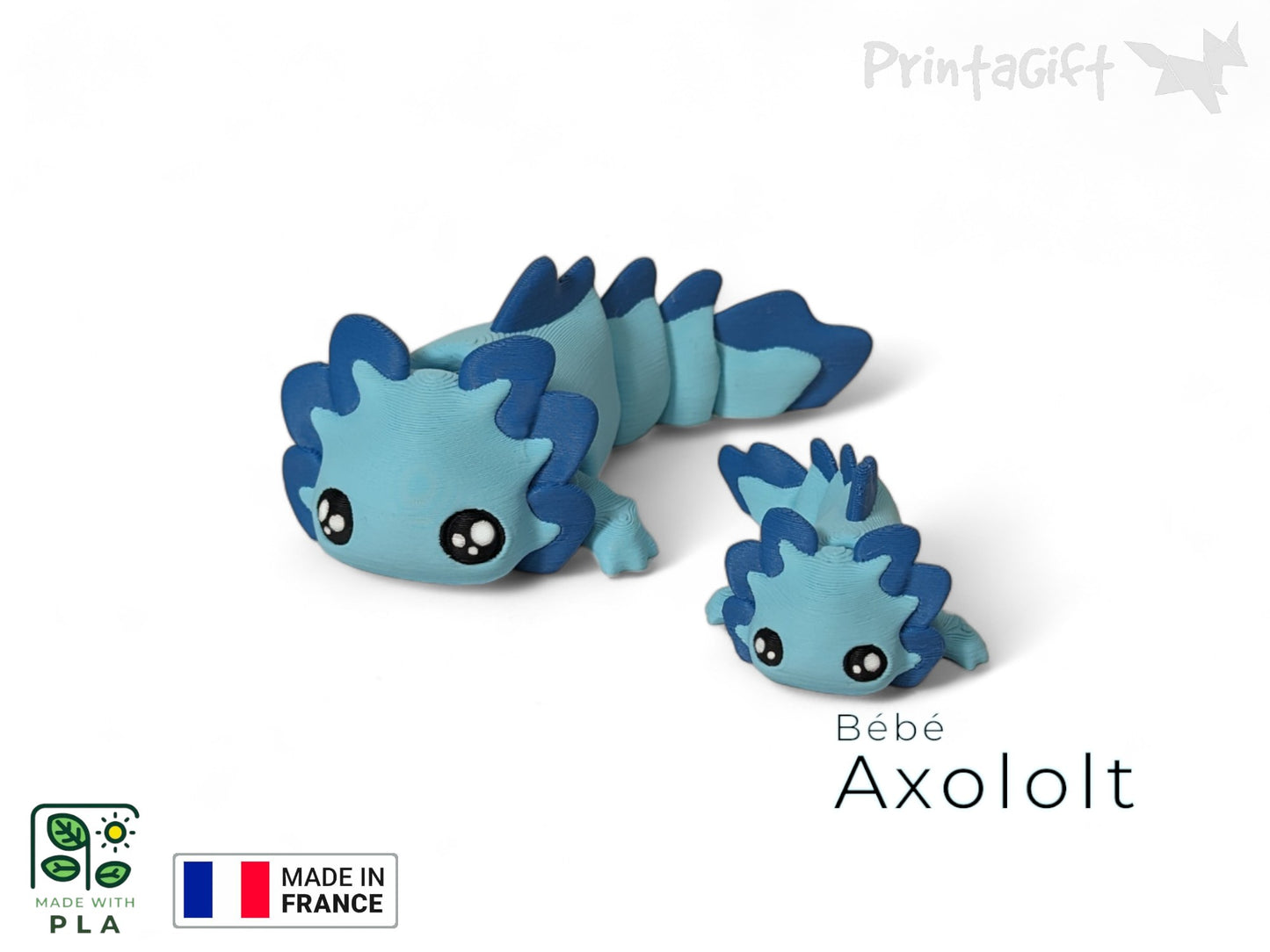 Axolotl bleu