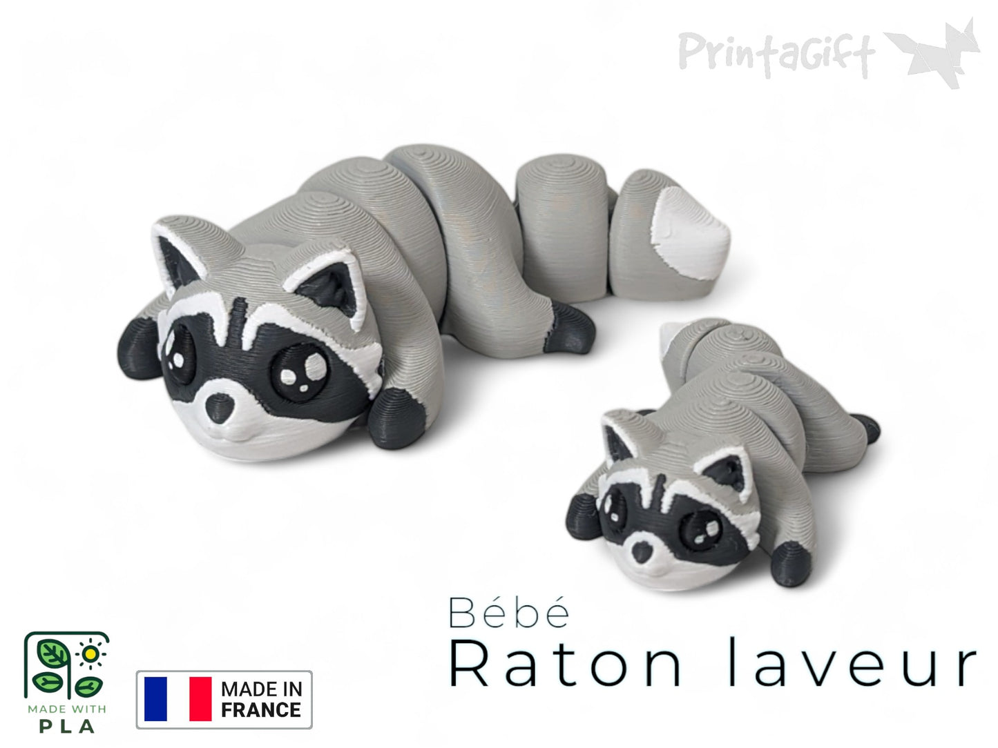 Raton laveur