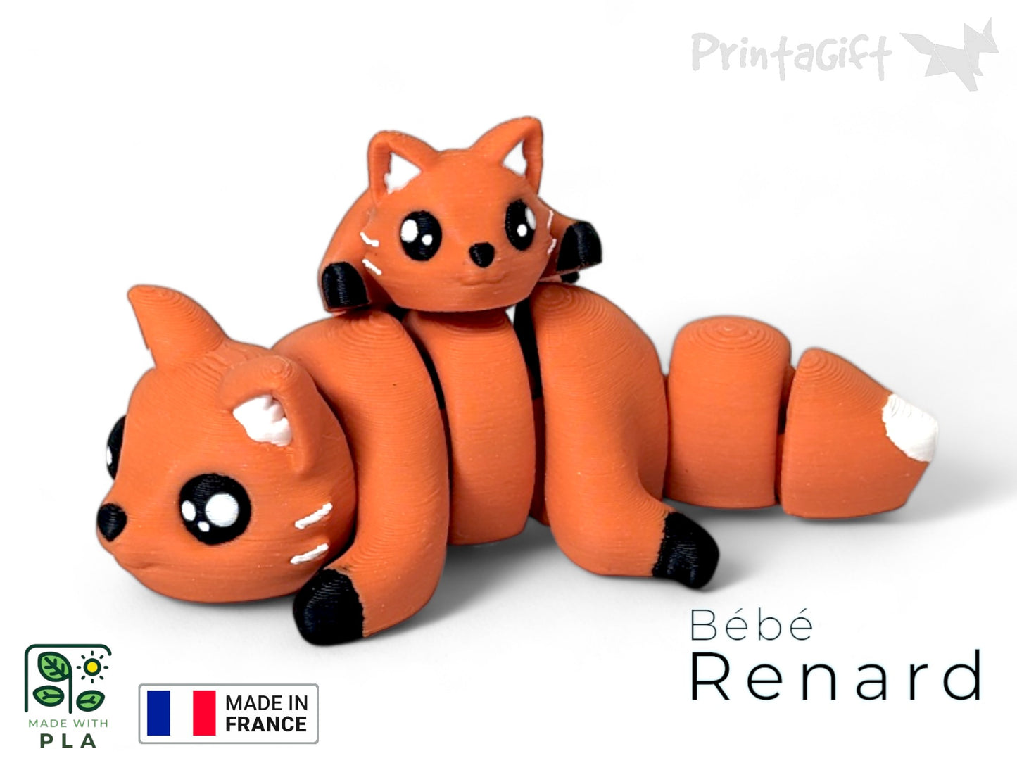Renard