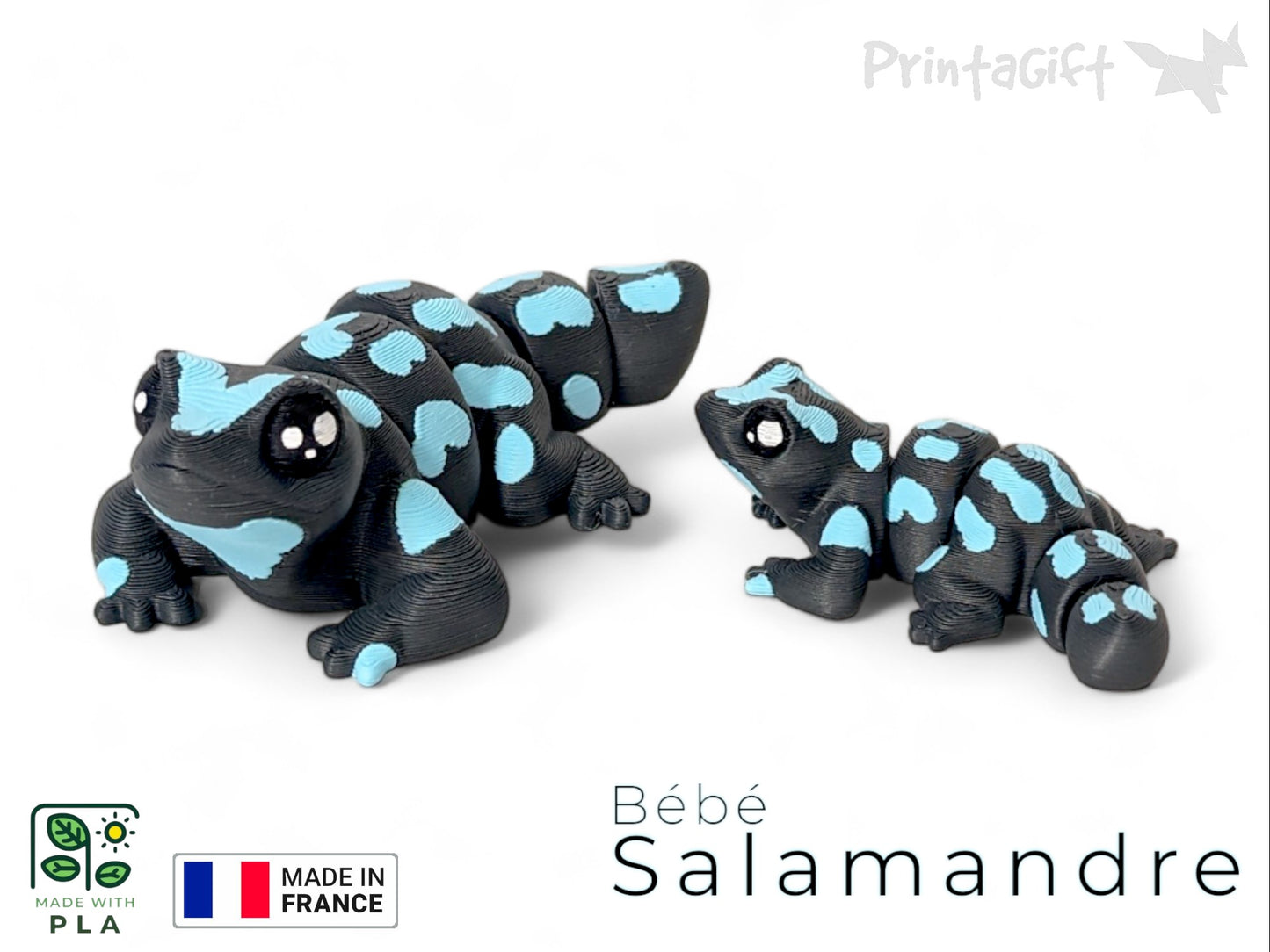 Salamandre bleu