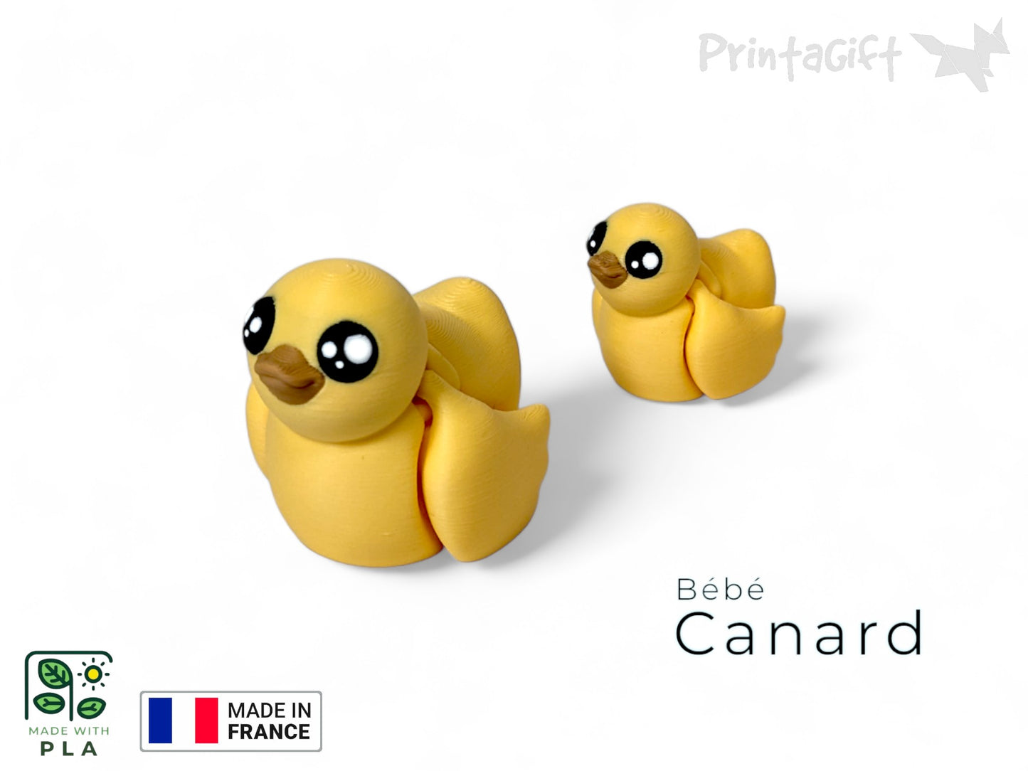 Canard