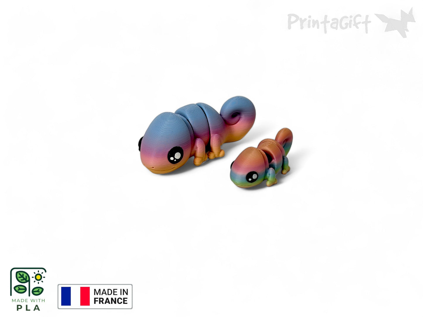 Ptit caméléon arc-en-ciel