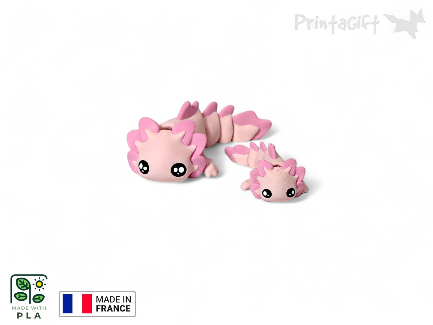 Ptit axolotl rose