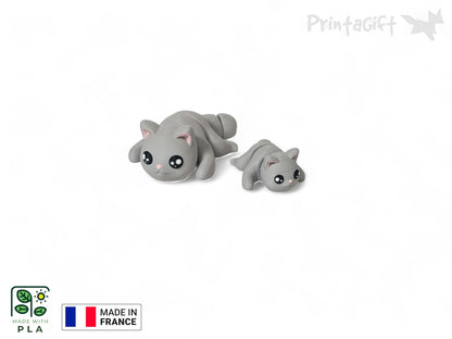Chat gris