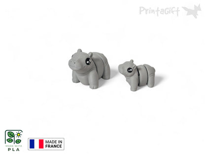 Hippopotame