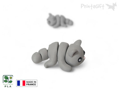 Chat gris