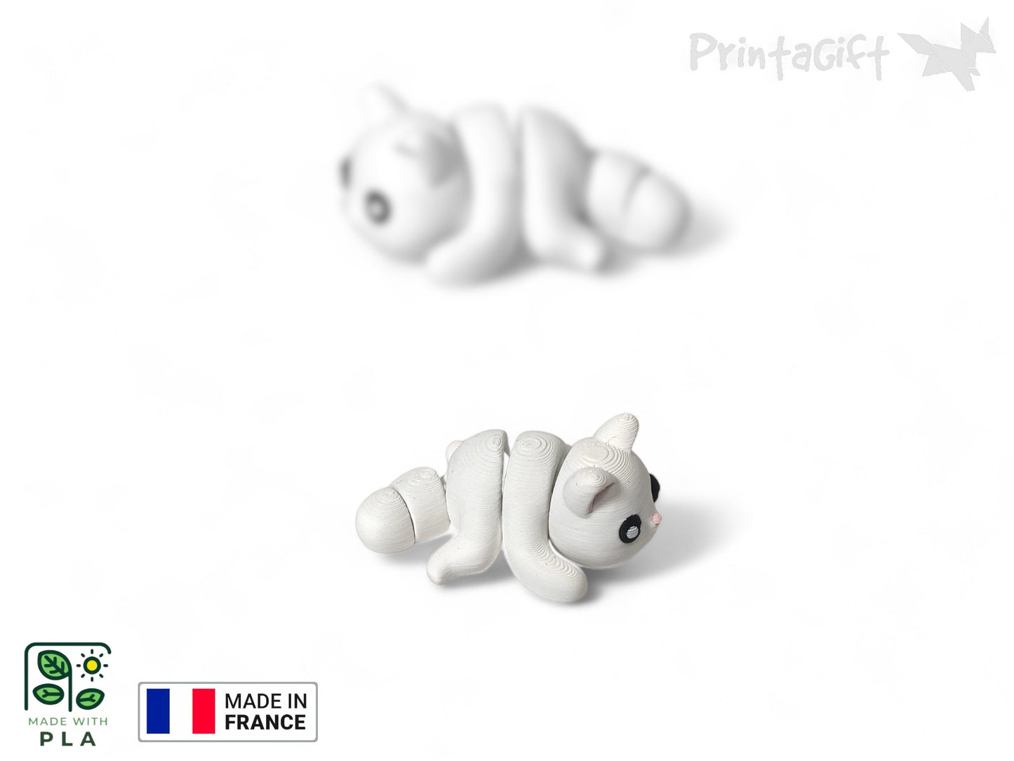 Chat blanc