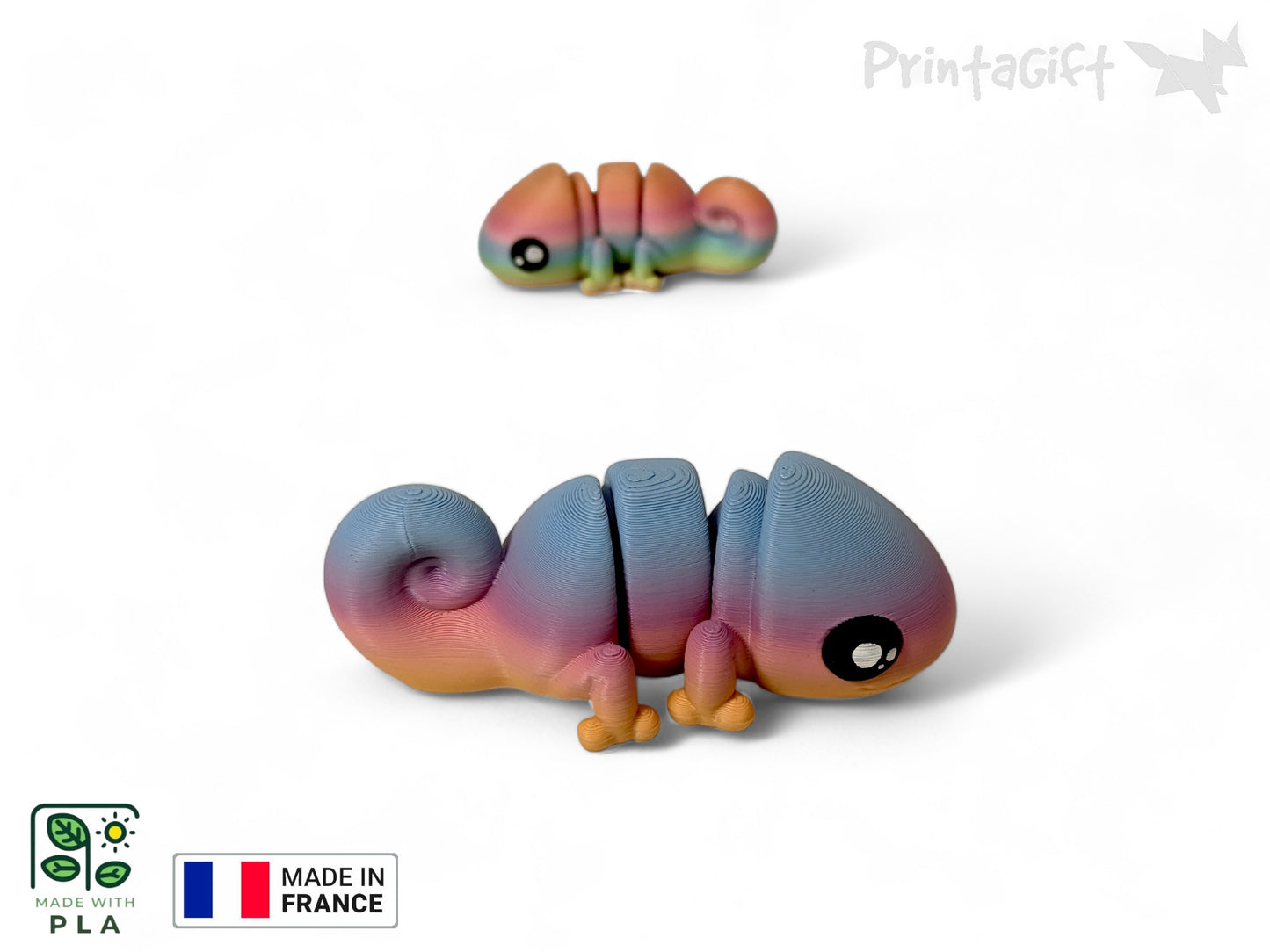 Ptit caméléon arc-en-ciel