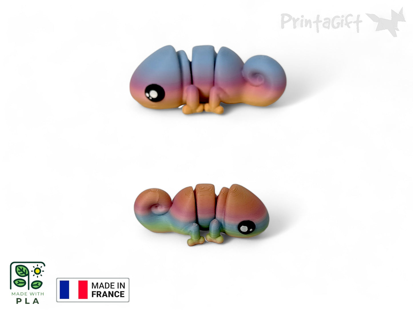 Ptit caméléon arc-en-ciel