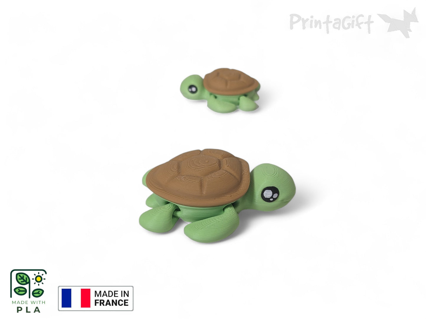 Ptite tortue