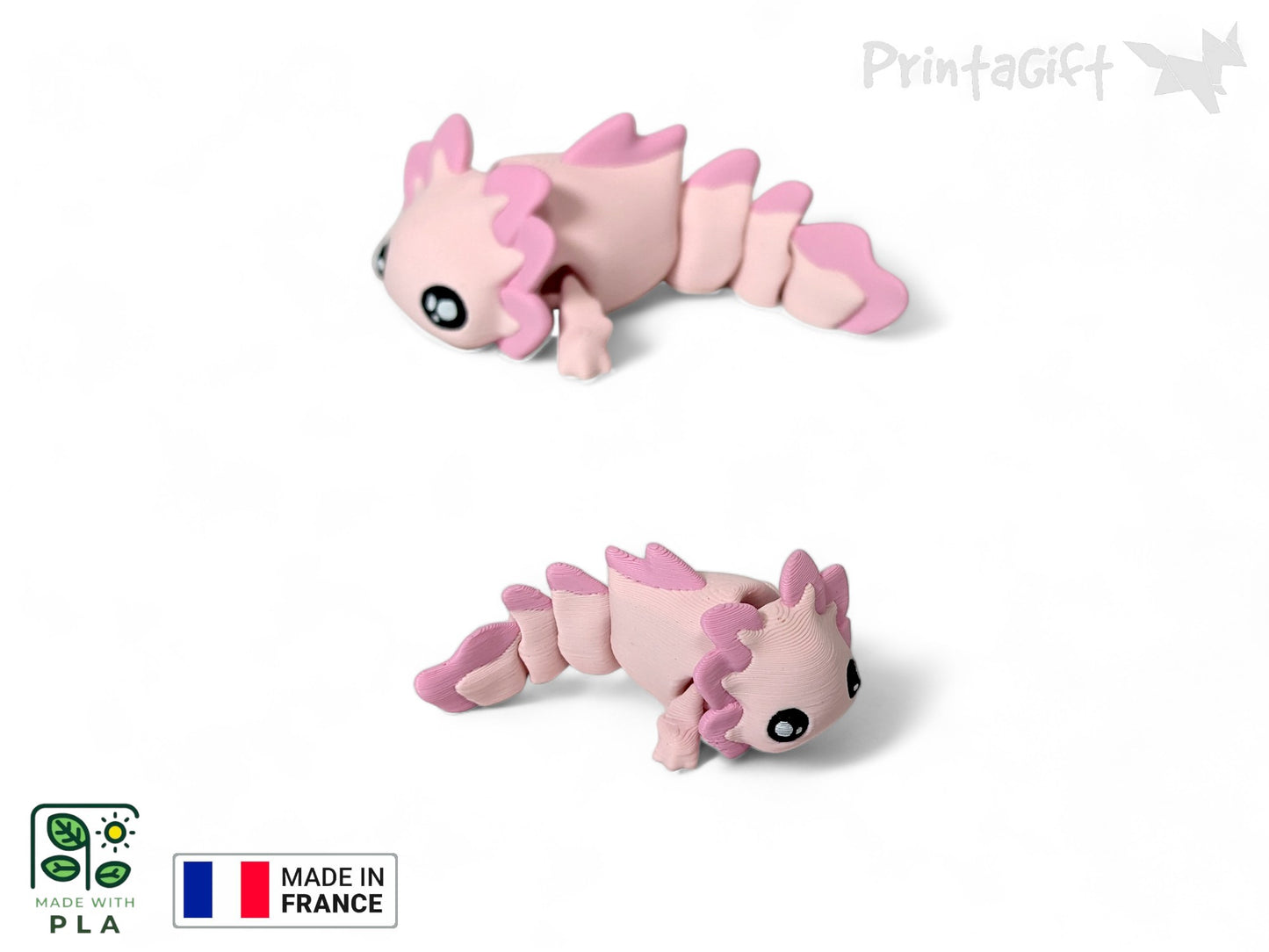 Ptit axolotl rose