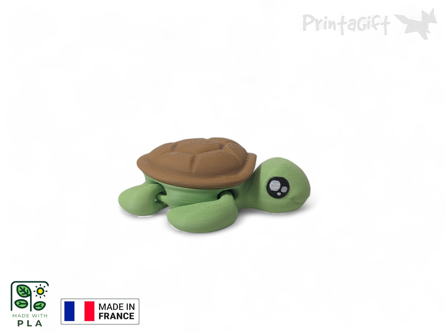 Ptite tortue