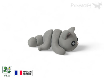 Chat gris