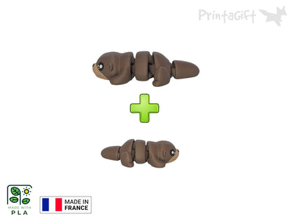Loutre