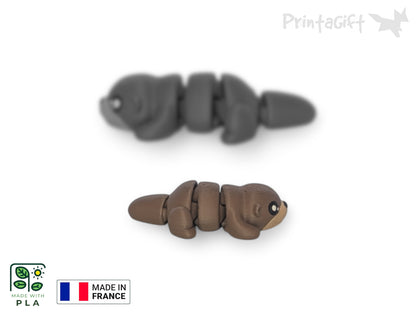 Loutre
