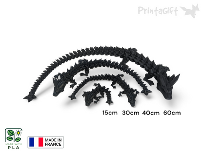 Dragon ELEMENT: le vent