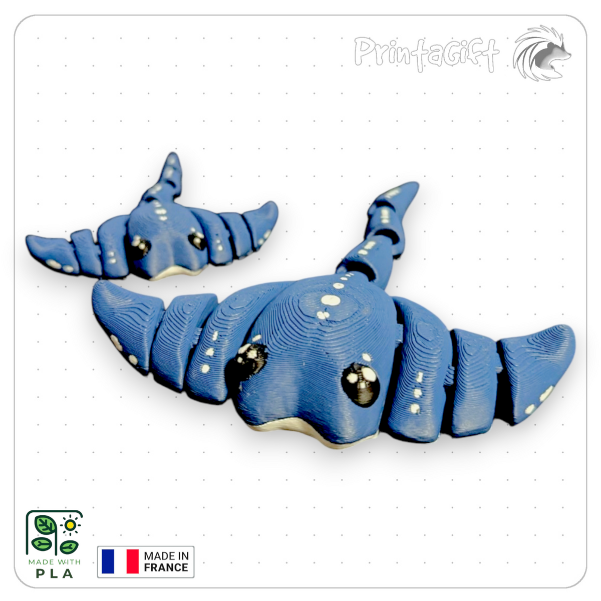 Raie manta