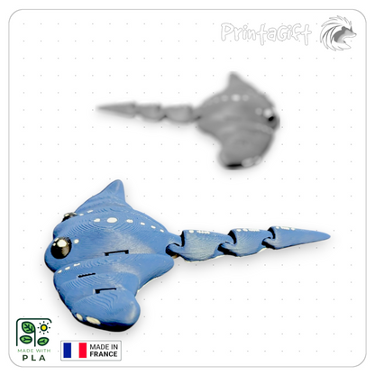 Raie manta