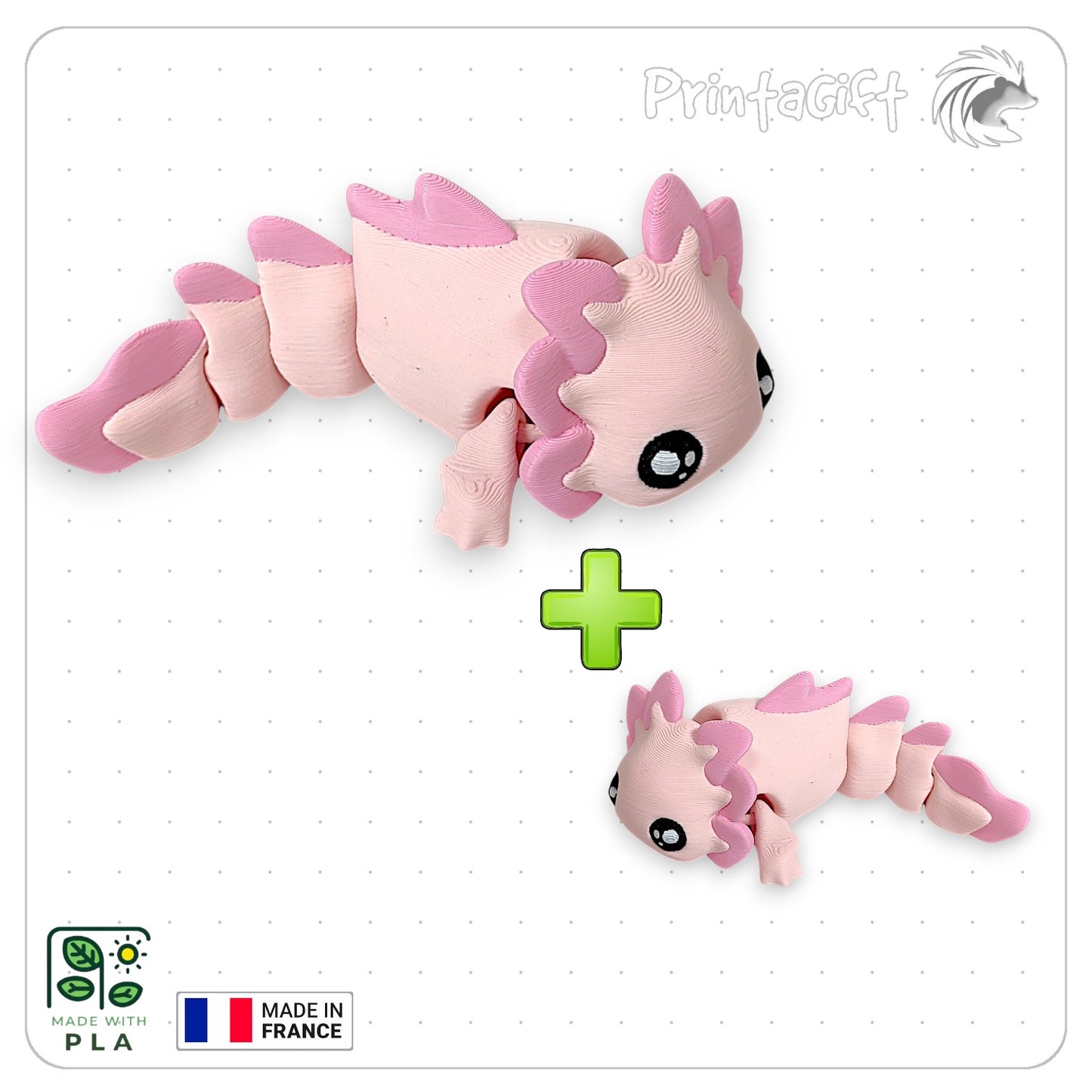 Axolotl rose