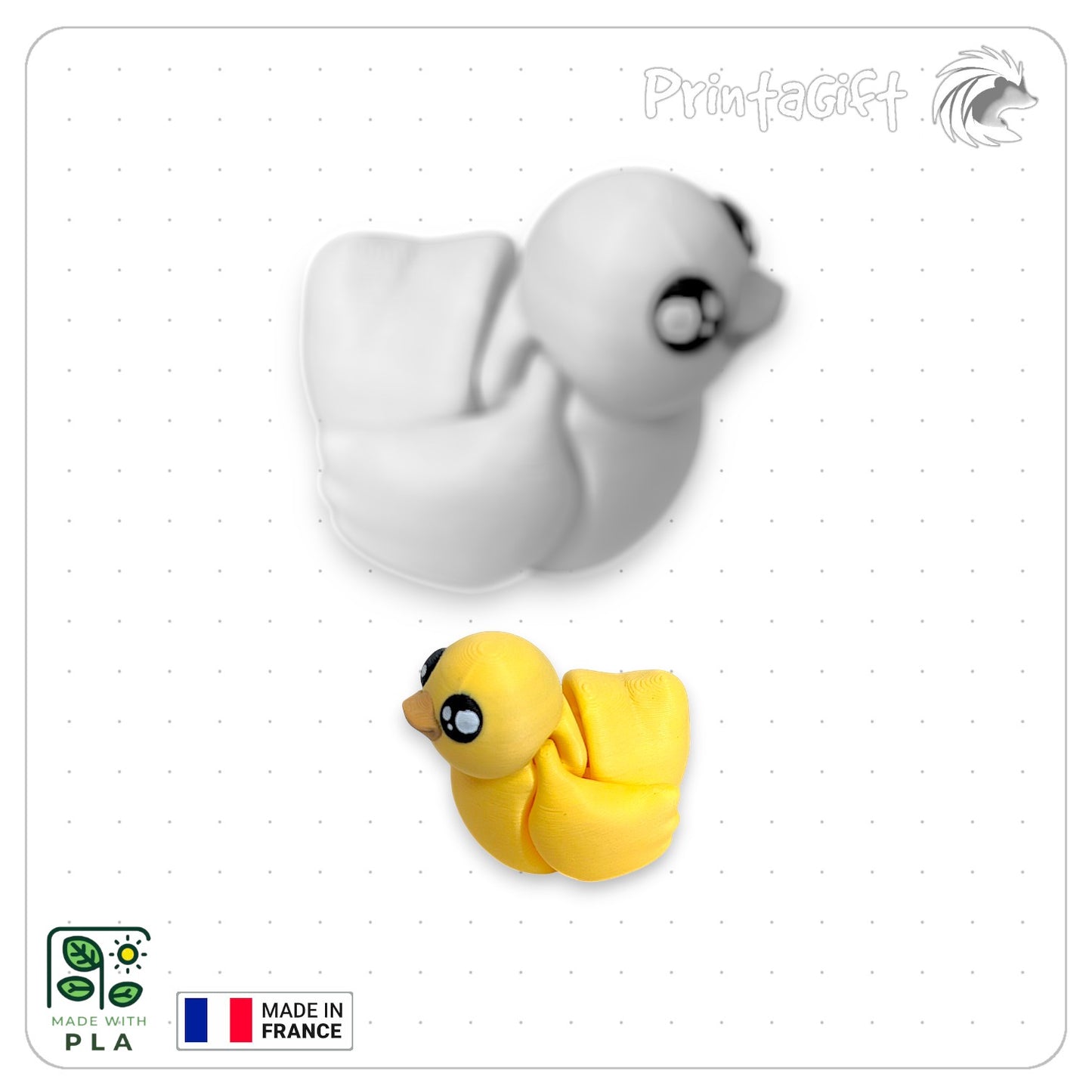 Canard