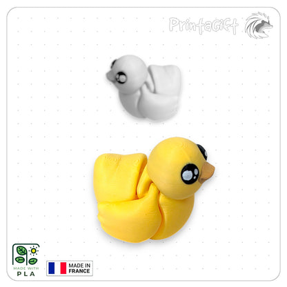 Canard