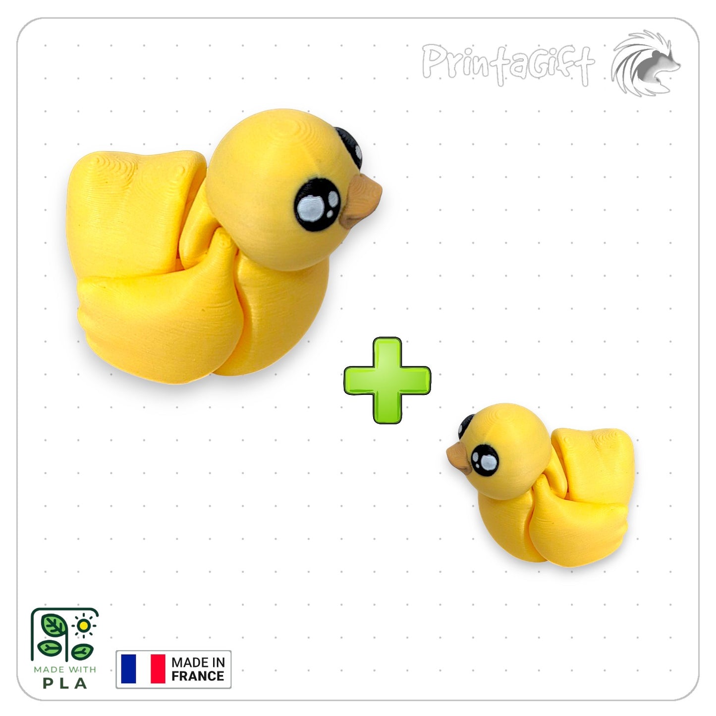 Canard