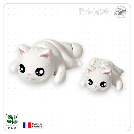 Chat blanc