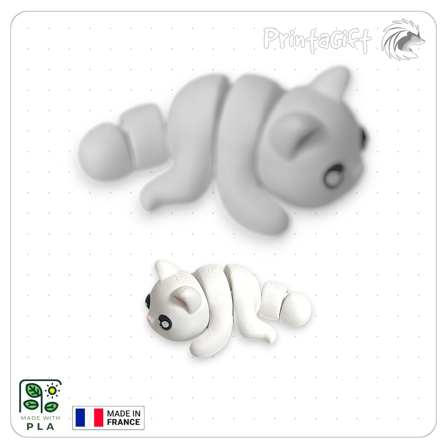 Chat blanc