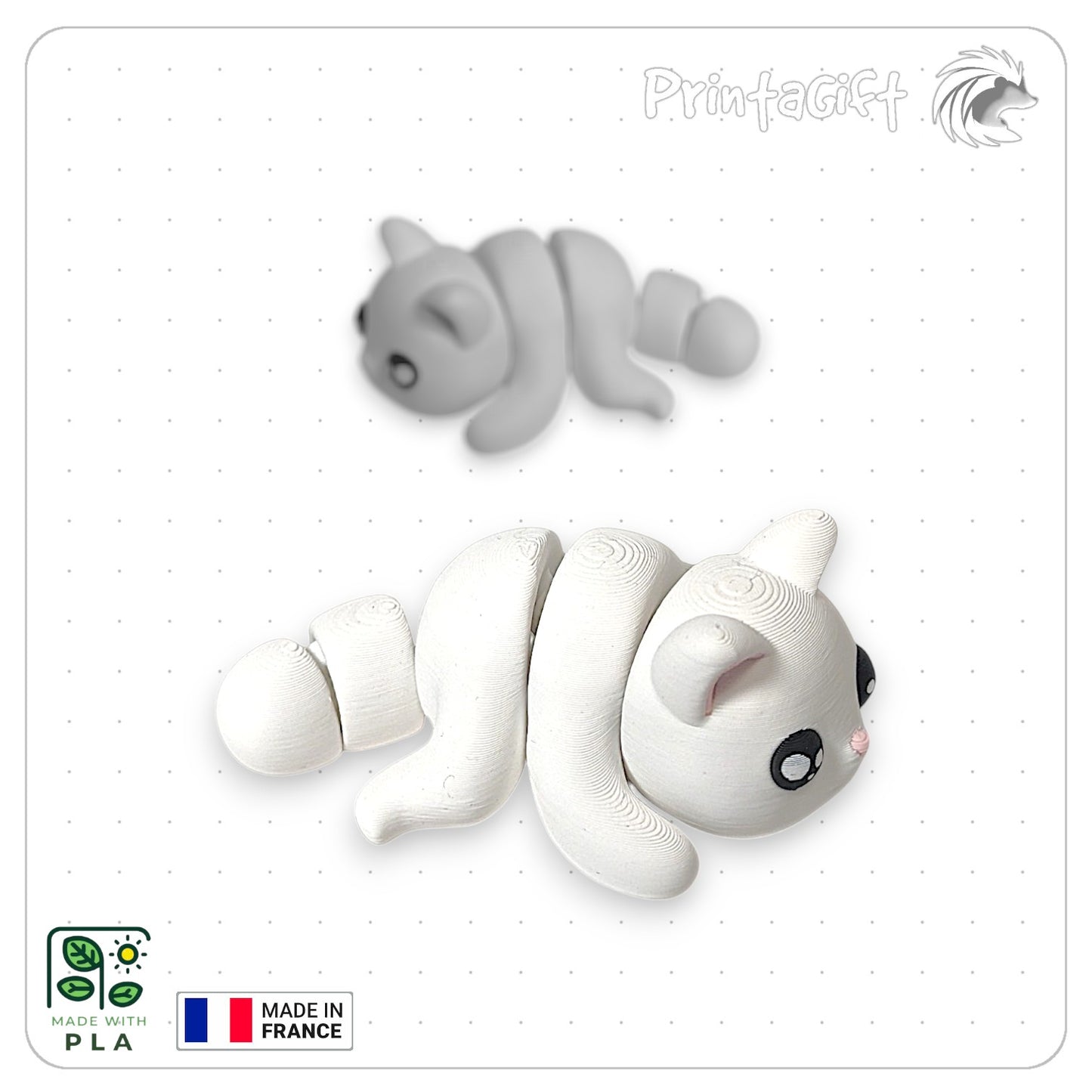 Chat blanc