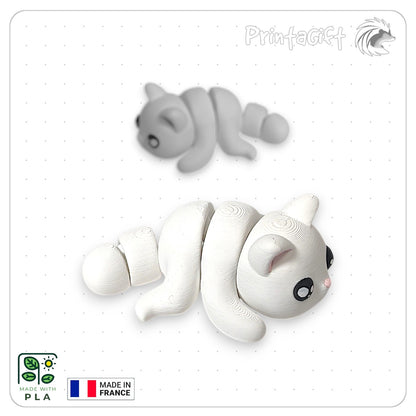 Chat blanc