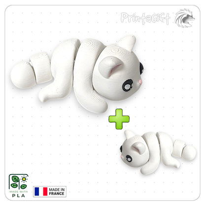 Chat blanc