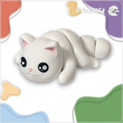 Chat blanc