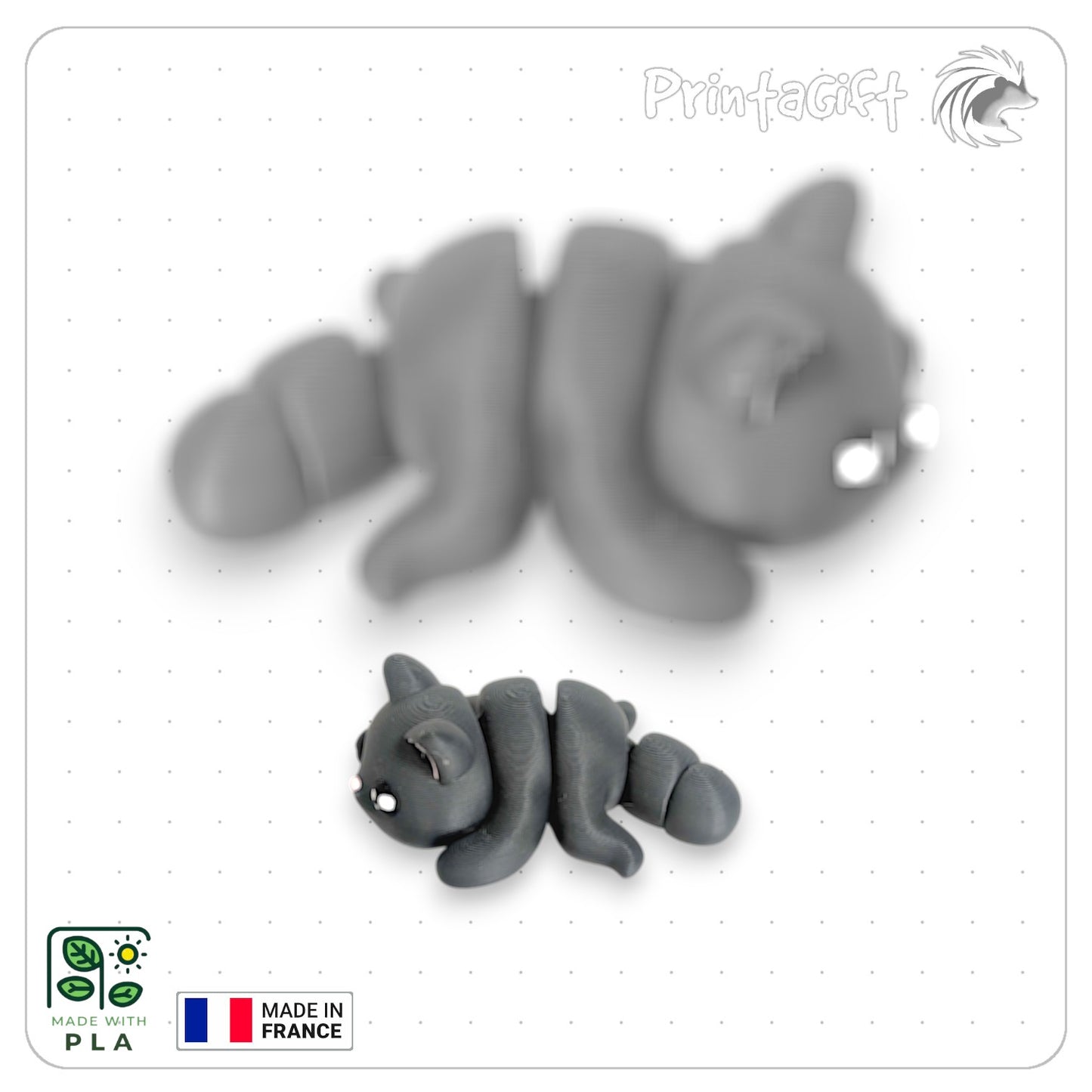 Chat noir