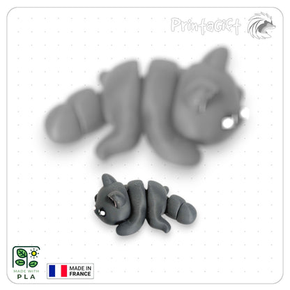 Chat noir