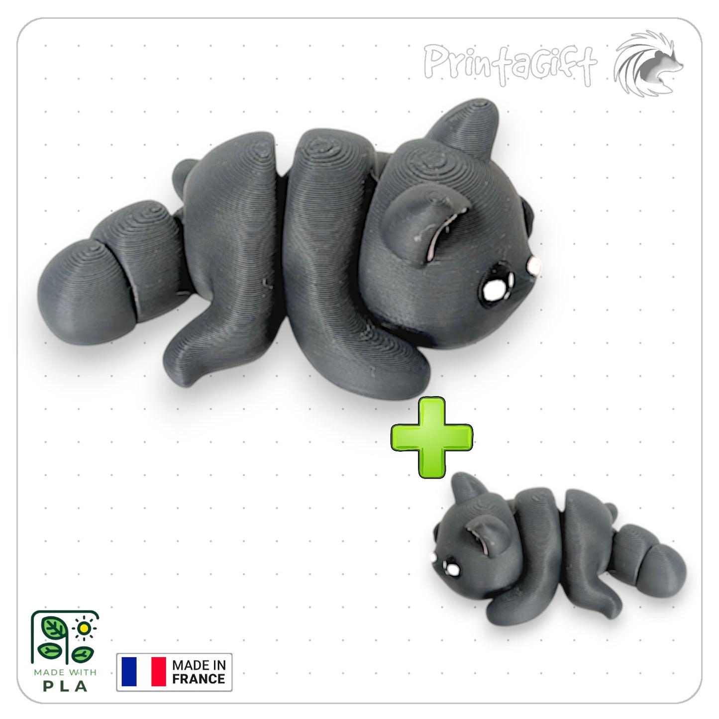 Chat noir