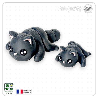 Chat noir