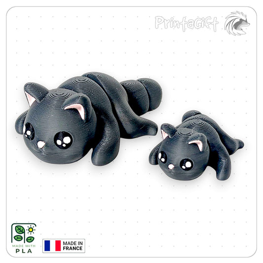 Chat noir