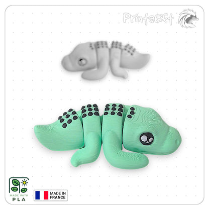 Crocodile